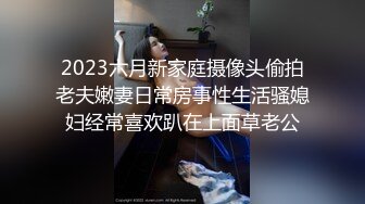 和老婆车震之二