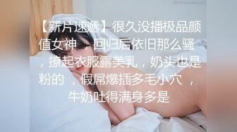 丰满汽车女销售的车震推销-莫夕慈