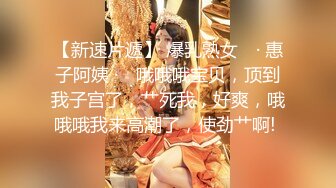 DA-004 大象传媒 火辣女同事的性感诱惑 李娜娜