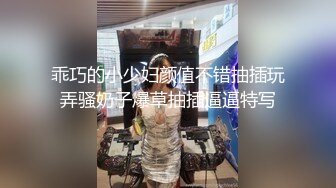 商场女厕全景偷拍连衣裙美女阴毛杂乱的小肥鲍鱼