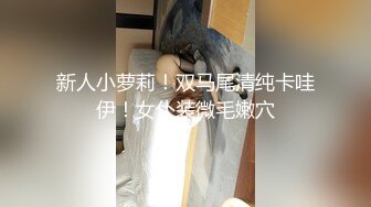 SH-005.蔡晓雨.多梅奇丝袜.性感美女丝袜激情演绎.麻豆出品X涩会