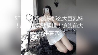 精品露脸❤️水电工疏通人妻下水管道老师内射学生