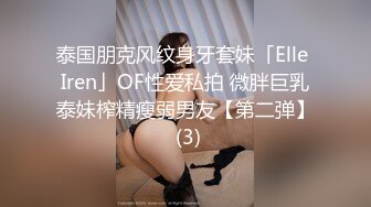 最新流出，推特顶级SS级巨乳性感女神【小鲅鱼】私人定制 道具紫薇、户外露出、各种挑逗裸舞，炸裂 (9)