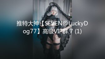 推特大神【SEVEN@LuckyDog77】高级VIP群 7 (1)