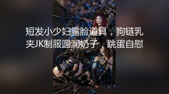 猎奇最美TS人妖系列17