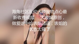 与极品车模偷情呻吟超刺激