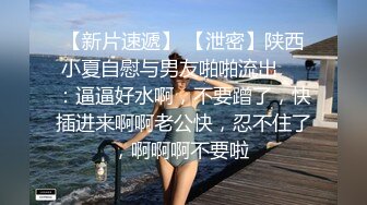 清純大奶台妹性愛影片被男友流出