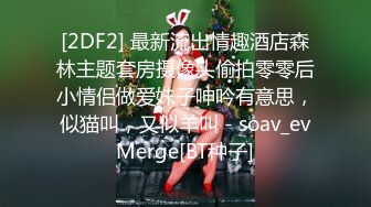 秘秘强烈推荐！高颜芭蕾舞姬顶级身材一字马舞蹈系女神【胡桃夹子】私作，裸舞紫薇高难度体操姿势打炮，简直爽爆了 (3)