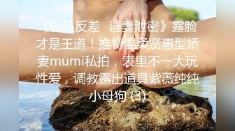 《极品反差✅淫妻泄密》露脸才是王道！推特温柔贤惠型娇妻mumi私拍，表里不一大玩性爱，调教露出道具紫薇纯纯小母狗 (3)