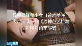 极品屁股，后入绝美腰臀比女友