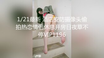 搭车的女同事续集