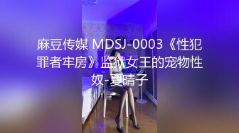 高能预警！比女人还女人极品网红CDTS【sehe】私拍，能攻能守3P4P真男假女混乱性交人体蜈蚣，相当淫乱视觉盛宴