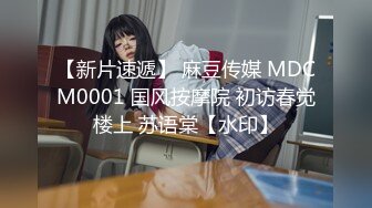 国产麻豆AV MKY MKYWM006 光棍罗曼史 徐蕾 管明美