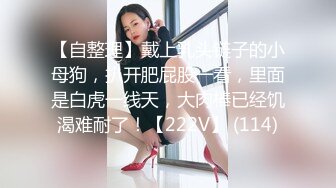 性感诱人的圣诞女郎