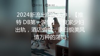 2024新流出约炮大神，【推特 DB第一深情】，良家少妇出轨，酒店偷拍，肤白貌美风情万种的荡妇