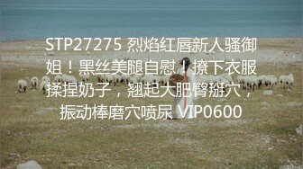 STP33205 大奶美女乘坐順風車 和黑人巨屌車上大戰 VIP0600