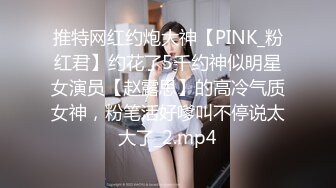 推特网红约炮大神【PINK_粉红君】约花了5千约神似明星女演员【赵露思】的高冷气质女神，粉笔活好嗲叫不停说太大了_2.mp4