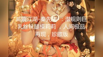 秀人超人气女神『王馨瑶』VIP专属新作《黑丝勾引》无内黑丝露鲍鱼 超级诱人