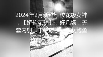 [2DF2] 中年男合伙高价约操性感黑丝援交美女,颜值样貌堪称一流,身材操棒,3人轮流爆插内射,边干边拍[BT种子]