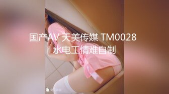 国产AV 天美传媒 TM0028 水电工情难自制