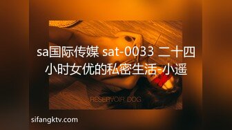 sa国际传媒 sat-0033 二十四小时女优的私密生活-小遥