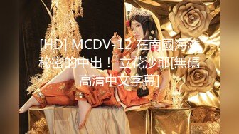 [HD] MCDV-12 在南國海灘秘密的中出！ 立花沙耶[無碼高清中文字幕]