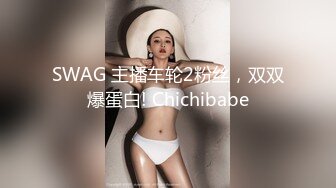 『恶犬』-手铐女警