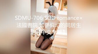 SDMU-706 SOD romance×法國書院 如夢似幻的同居生活【中文字幕】