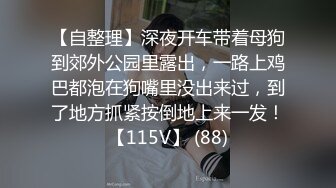 石家庄小少妇，露脸玩三P，小穴和嘴巴都塞的满满的