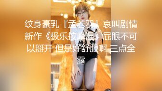 爆操巨乳人妻，叫声太刺激