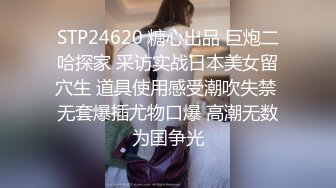 专注快乐的女仆 日高