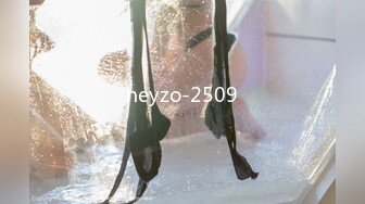 heyzo-2509