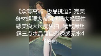 《众筹高端✅极品挑逗》完美身材蜂腰大波圆润肥大翘臀性感美模大尺度私拍✅精致黑丝露三点水晶屌自慰诱惑无水4K原画