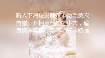 ❤️不做女神要做母狗，推特大神【L先生的后宫】明星气质极品圈养母狗日常各种被啪啪内射，淫叫声震耳欲聋的