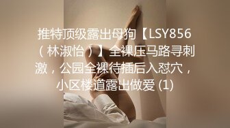 @MDL-0004 暗黑圣诞节 交换伴侣同学会